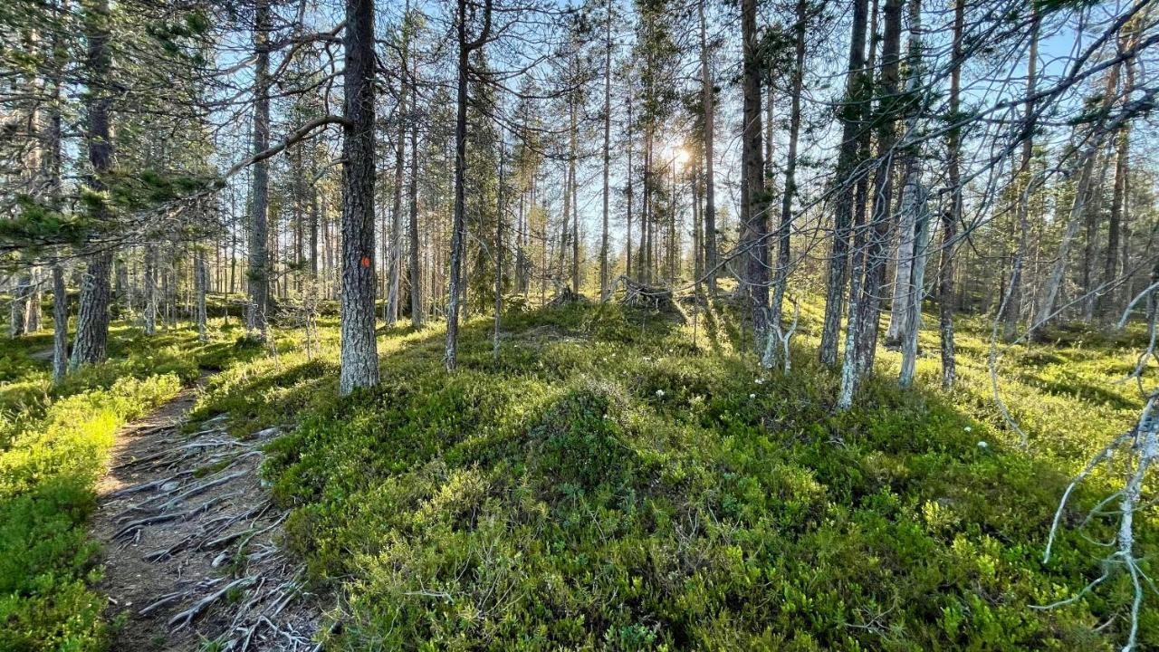 Lapiosalmi Wilderness Center Hotel Posio Luaran gambar