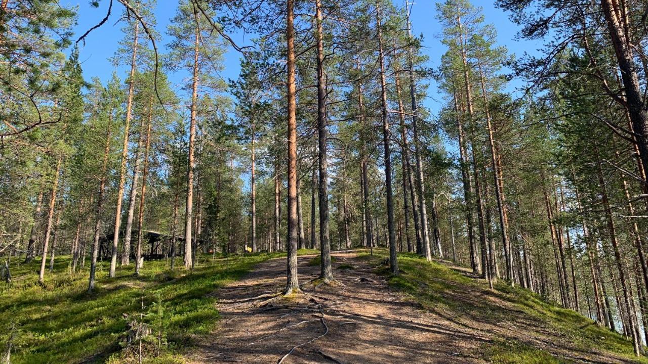 Lapiosalmi Wilderness Center Hotel Posio Luaran gambar