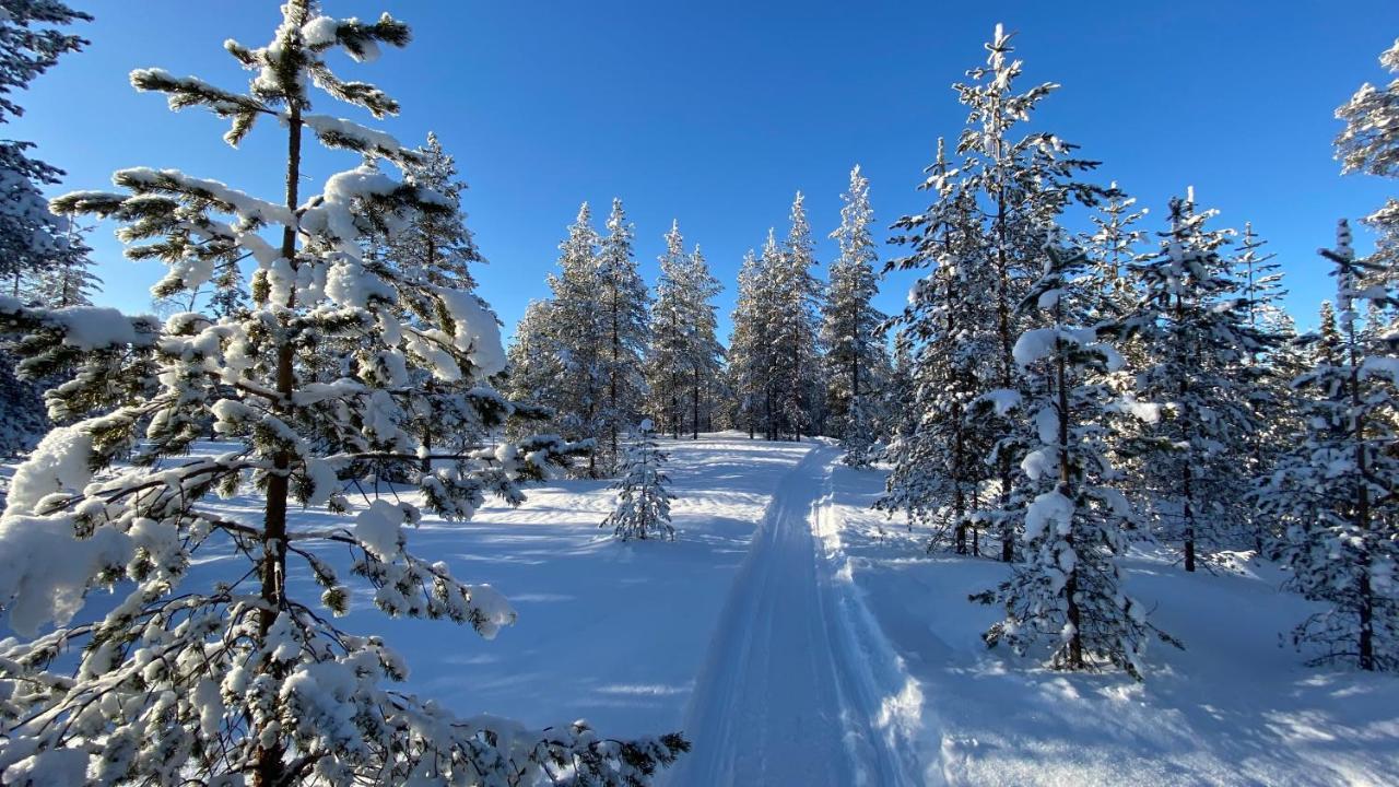Lapiosalmi Wilderness Center Hotel Posio Luaran gambar