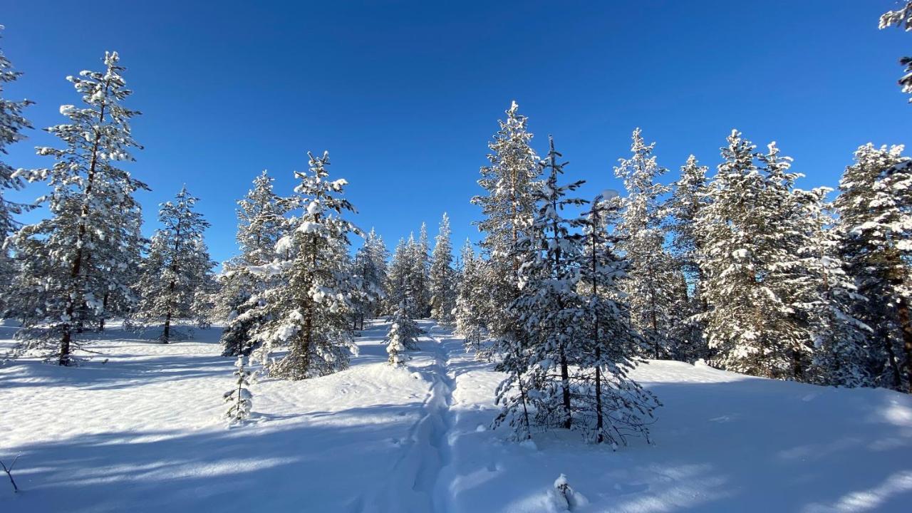 Lapiosalmi Wilderness Center Hotel Posio Luaran gambar